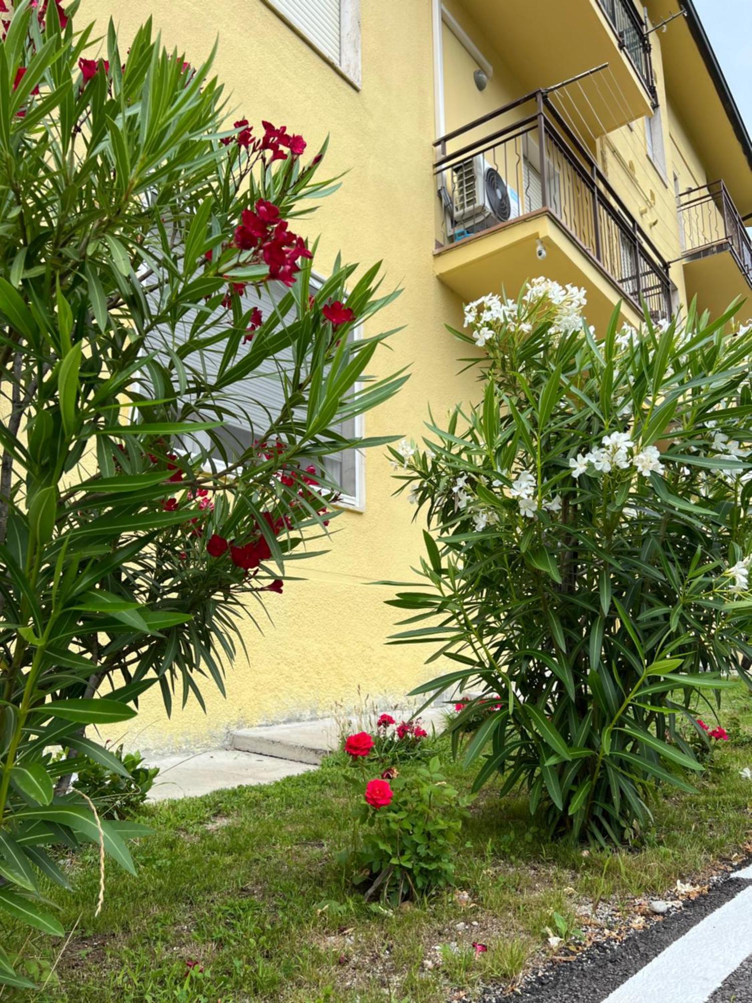 Casa R&E Valbrona Exterior foto